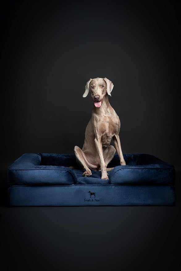 NOAH & PAW XL Dog Bed, 45x35x11 Inch, Orthopedic Large Dog Beds, Eggshell Memory Foam Infused with Cooling Gel, Inner Cover, Water Resistant, Machine Washable (Velvet Sofa Collection)