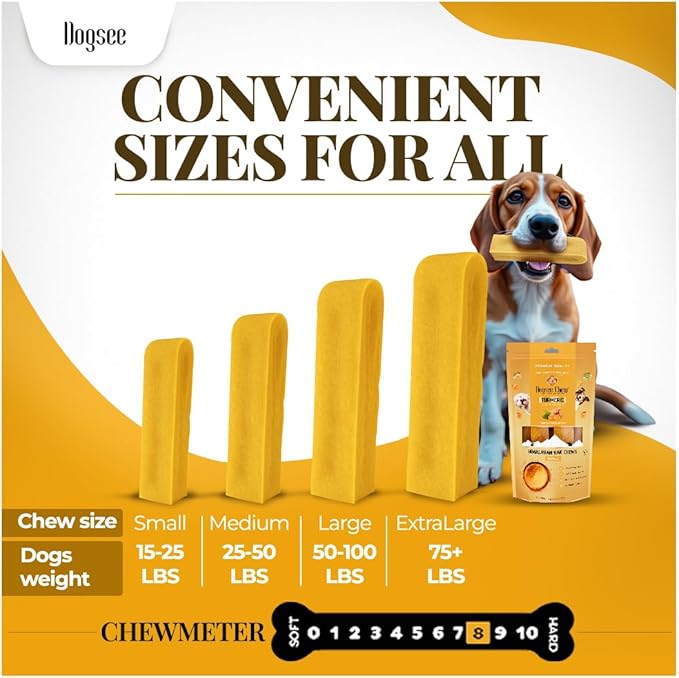 Dogsee Himalayan Yak Chews with Turmeric/Curcumin (XL - 6 Bars, 2lb) 60% Protein, 100% Natural & Long-Lasting Yak Chews for Large Dogs Anti-Inflammatory Supports Oral Hygiene