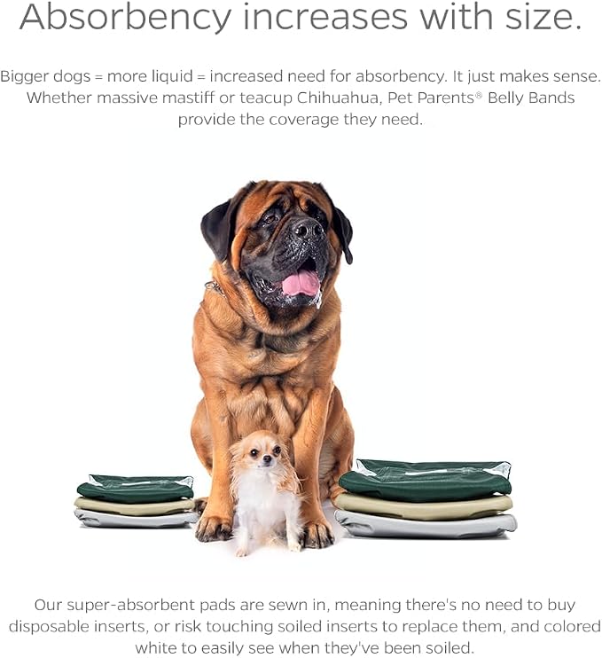 Pet Parents® Washable Belly Bands for Male Dogs (3pack) + Extendrs® of Durable Dog Diapers Male, Premium Male Dog Diapers & Dog Wraps (X-Large, Spruce)