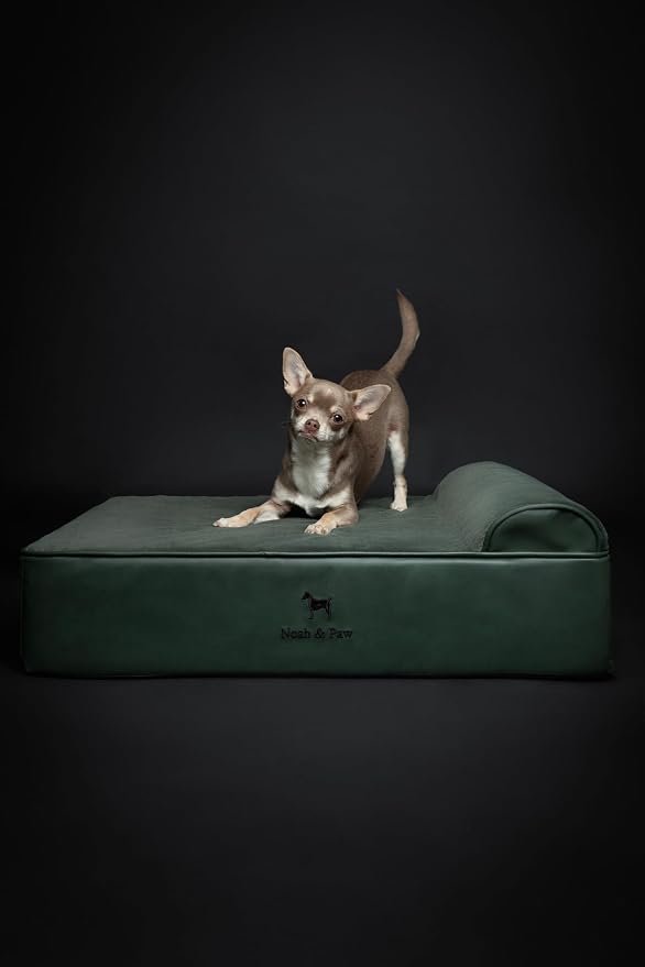 NOAH & PAW Dog Bed, 28x23x7.5 Inch, Orthopedic Dog Beds for Medium Size Pets, Eggshell Memory Foam Infused with Cooling Gel, Water Resistant, Machine Washable, Includes Inner Cover (Faux Leather)