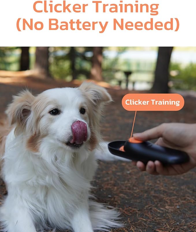 Clink Design 2-in-1 Puppy Essentials, Dog Training Clicker & Treat Carrier, Durable Food-Grade ABS, Treat Carrier with Desiccant Compartment, Compact & Lightweight Dog Stuff for Dogs - Black & Orange