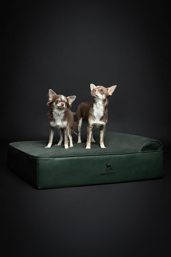 NOAH & PAW Dog Bed, 28x23x7.5 Inch, Orthopedic Dog Beds for Medium Size Pets, Eggshell Memory Foam Infused with Cooling Gel, Water Resistant, Machine Washable, Includes Inner Cover (Faux Leather)