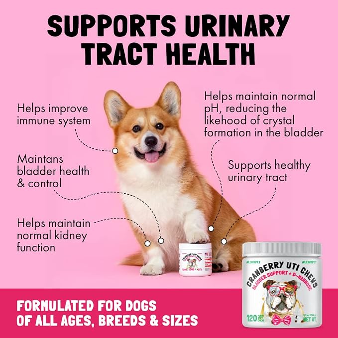 Omega 3 Alaskan Salmon Oil Treats for Dogs 30 Fish Oil Chews and Cranberry UTI Chews for Dogs Bladder Support + D-Mannose Supports Kidney Urinary Tract 120 Chews