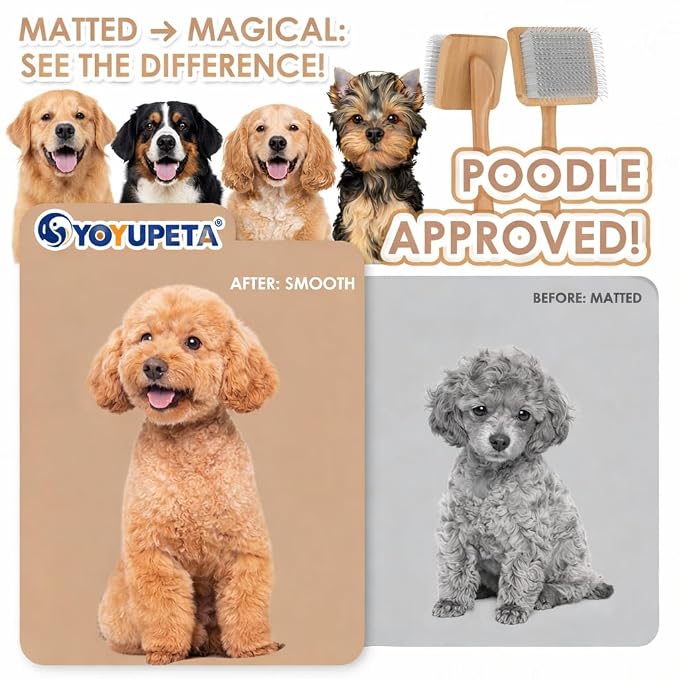 Large Dog Slicker Brush for Goldendoodles, Poodles - 3 in 1 Grooming Kit with Undercoat Rake & Comb - Extra Long Pins Slicker Brush for Dematting, Thick Coats, Shedding, Detangling, Natural