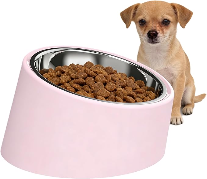 Pink Elevated Dog Bowl Set - 15° Tilted Slow Feeder (3 Sizes & 7 Colors), Anti-Choking Design with Non-Slip Base - BPA-Free for Small/Medium/Large Dogs (Pink, l)