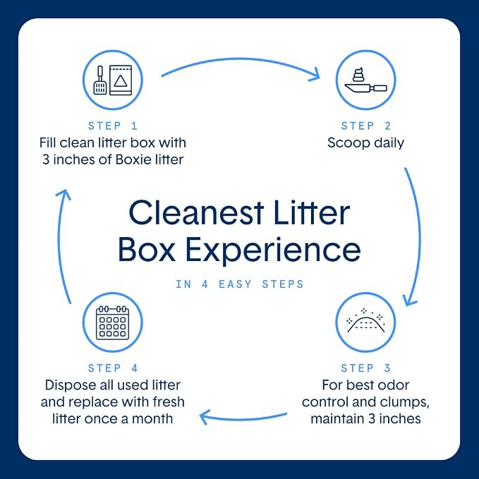 Boxie Unscented 30 Day Odor Control Clumping Clay Cat & Kitty Litter, 99.9% Dust-Free, Hard Flat Top Clumps, No Fragrances No Fillers, Long-Lasting, Easy to Scoop,16 lb (Pack of 2)