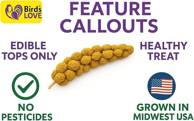 5lbs Economy & Special Spray Millet for Birds – GMO-Free, No Stems (Only Edible Tops) – 100% Natural Sun-Dried Foraging Treat for Cockatiels, Lovebirds, Parakeets, Finches & Canaries