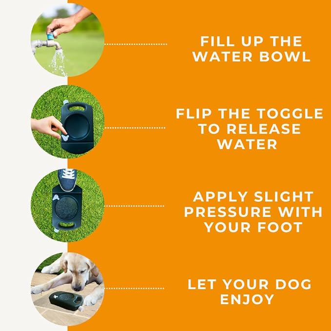 Dog & Field AQUABOWL Original 2L – Cat and Dog Water Bowl for Walking, Training or Days Out, Lightweight & Portable Dog Water Bottle, All in One Travel Water Bowl