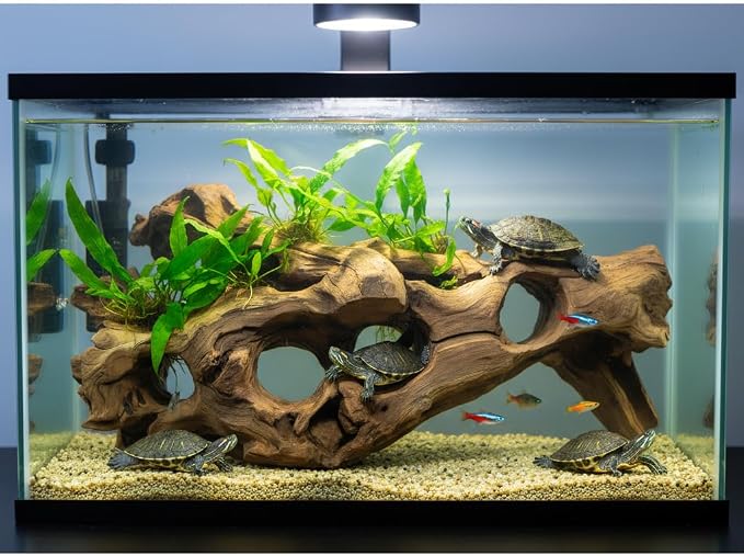 emours Porous Natural Driftwood for Aquarium, Aquascaping Driftwood with Holes, Hand-Selected Tunnels & Hideouts, Aquascaping Hardscape, Terrarium Reptile Décor, No Paint or Resin (16-20" (40-50 cm))