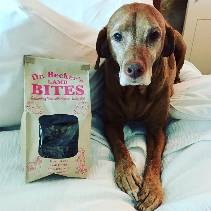 Dr. Becker's Lamb Bites | 100% Pure Meat Protein | Grain Free Liver Training Treats for Dogs & Cats, 5 oz (Pack of 3)