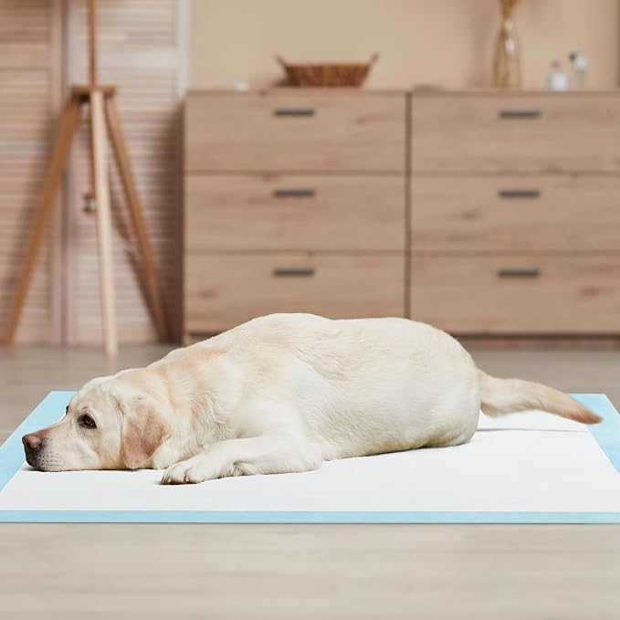 PETSITE Dog and Puppy Pee Pads, 6-Layer Leak-Proof Super Absorbent, Quick-Dry Surface, Indoor Outdoor Disposable Potty Training Pads, Blue & White (36" x 36" (100 Count))