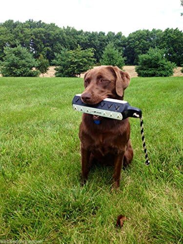 Avery ASD 2" HexaBumper Hunting Sporting Gun Dog Game Retriever Dummy | Water & Upland Mark Training Retrieval Tool | Hexagonal, Floating Design, Easy-Grip Texture, Throw Rope, Pro Pack (02720)