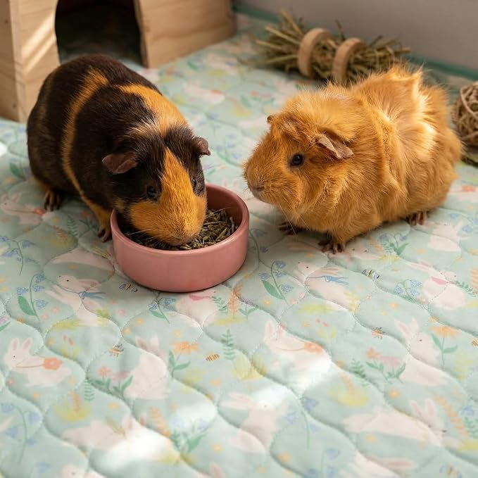 Guinea Pig Cage Liners, 59x31in 2 Pack Washable Guinea Pig Bedding, Waterproof Reusable & Anti Slip, Super Absorbent Guinea Pig Pee Pad for Small Animal, Rabbit, Bunny, Fit for C&C Cage, Green