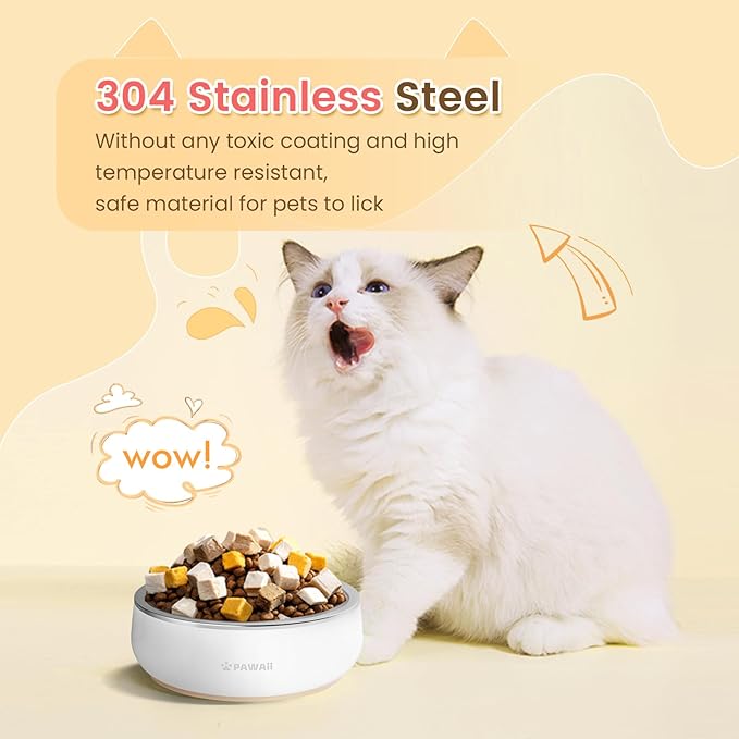TSA Airline Approved Soft Sided Collapsible Pet Travel Carrier and Small cat Bowl