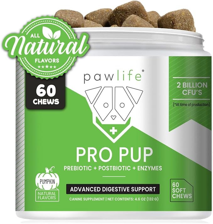 Probiotics for Dogs - Diarrhea Relief, Gut Health Support, Constipation Relief, Digestive Health Support - Vet Recommended Dog Probiotics - 60 Soft Chews that Dogs Love - Pumpkin Flavor