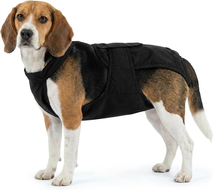 IDOMIK Reusable Female Dog Diapers, Washable Dog Period Diapers with Adjustable Suspenders, Leakproof Escape-Proof Sanitary Panties for Dogs in Heat Cycle, Incontinence, or Senior Dogs,Black,L