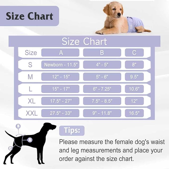 4 Pack Reusable Female Dog Diaper, Highly Absorbent Doggie Diapers for Female Dogs, Dog Diaper XX-Large, Yellow