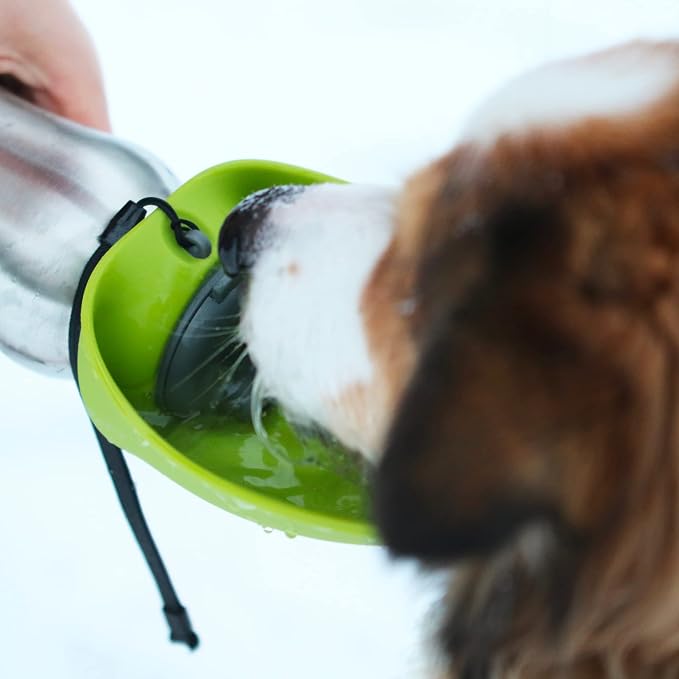 Messy Mutts Stainless Steel Travel Water Bottle with Silicone Flip Up Bowl | Pet Travel Necessity | Camping, Hiking, Walking Accessory | 24 oz / 700mL | Grey