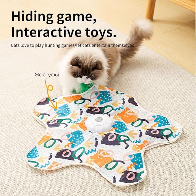 Interactive Cat Toys for Indoor Cats, [Newly Upgraded] Rechargeable Touch Activated Hide and Seek Kitten Toys for Bored Indoor Adult Cats（Fish Style）