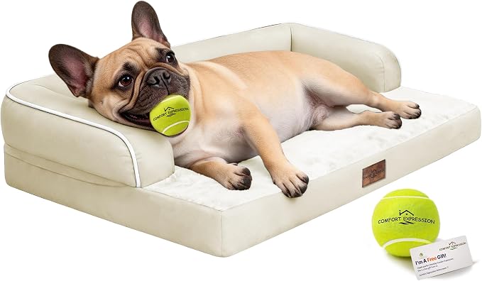 Comfort Expression Memory Foam Large Dog Bed - Waterproof Orthopedic Pet Bed with Washable Removable Cover, Non-Slip Pet Sofa Couch, 36 x 27