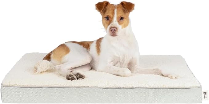 Best Pet Supplies Orthopedic Dog Bed with Memory Foam, Washable Dog Crate Mat for Small, Medium & Large Dogs, Thick Mattress for Crates, Kennels or Floor, Waterproof Pet Bed - Beige, 24 x 16 x 3