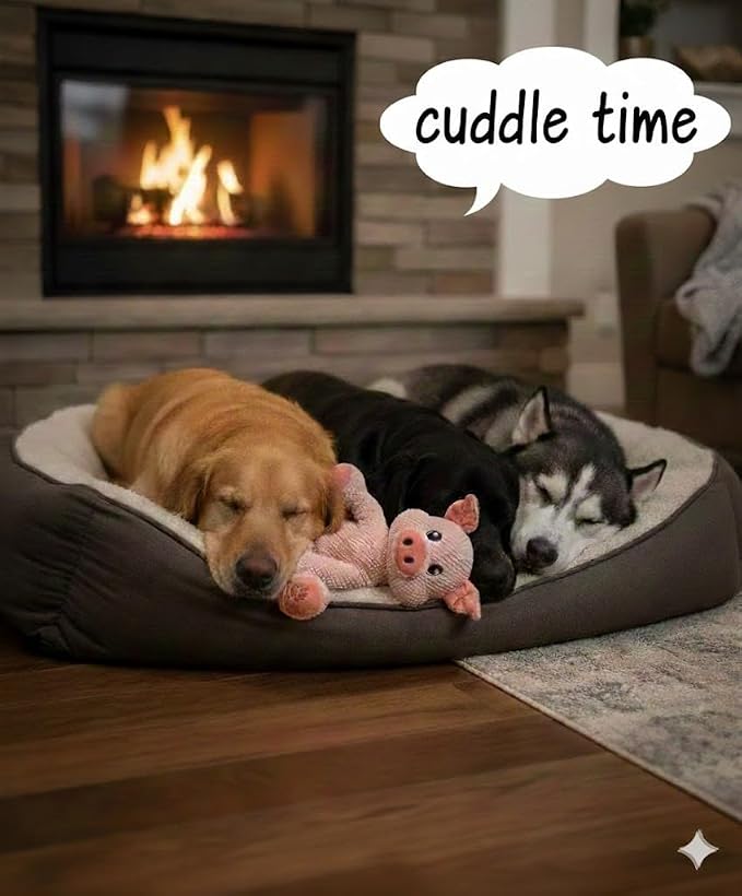 NOZES & TOZES Plush Pig Dog Toy | Dog stuffies for Large Dogs Dog Enrichment Toys for Large Dogs | Dog Toys Without Squeakers- Pink