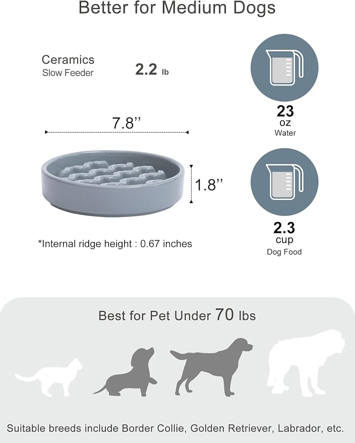 Ceramic Slow Feeder Dog Bowl, Maze Puzzle Non-Slip Silicone Base Stoneware Bowl for Small Medium Dogs, Heavy Duty Anti-Bloat Dog Food Bowl Dishwasher Safe – Ice Blue, Medium