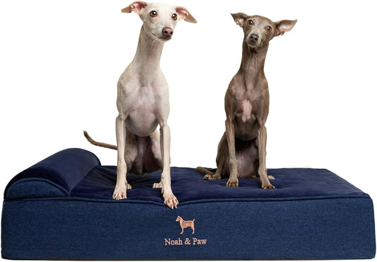 NOAH & PAW Large Dog Bed, 35x25x8.7 Inch, Orthopedic Dog Beds, Eggshell Memory Foam Infused with Cooling Gel, Water Resistant, Machine Washable, Includes Inner Cover (Denim Collection)