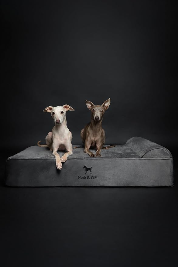 NOAH & PAW Large Dog Bed, 35x25x8.7 Inch, Orthopedic Dog Beds, Eggshell Memory Foam Infused with Cooling Gel, Water Resistant, Machine Washable, Includes Inner Cover (Velvet Collection)