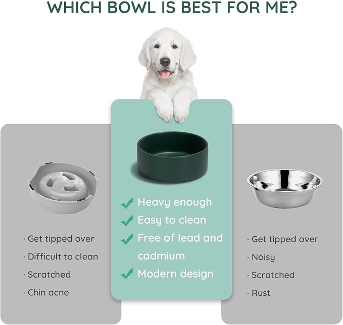 SPUNKYJUNKY 28.7OZ Ceramic Dog and Cat Bowl, Modern Cute Weighted Food Water Bowl for Replacement Green (2 Pack)