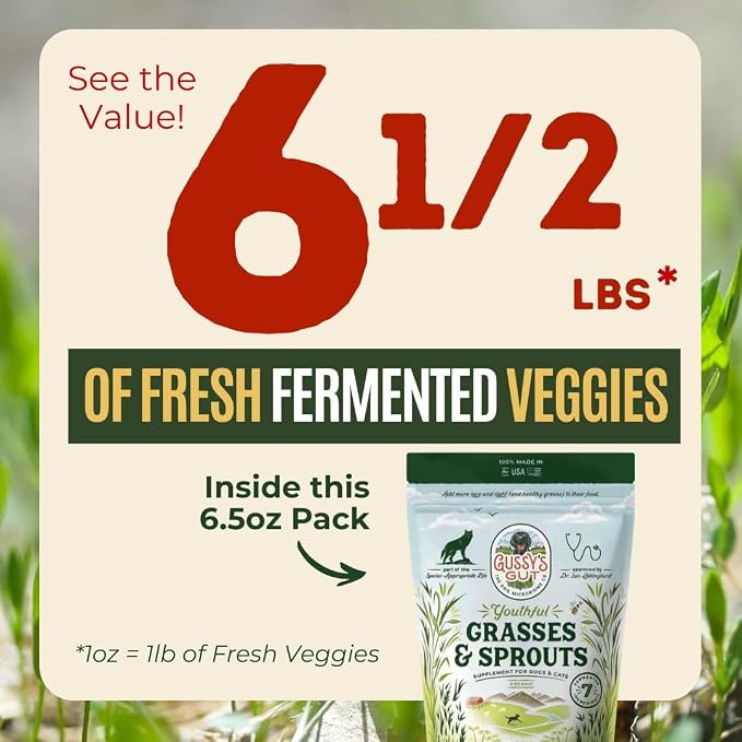 Gussy's Gut Youthful Grasses & Sprouts Dog Gut & Digestive Health Supplement- Human Grade Fermented Ingredients- Super Greens, Pre/Post & Probiotic All in One - Maintain Protocol
