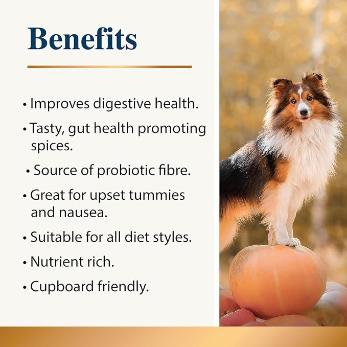 Pumpkin Spice Whole Food Supplement Topper for Dogs 200g (2 Pack) | Pumpkins Powder with Added Gut Healthy Spices | Pumpkin Spices| Fibre Rich, Prebiotic, Anal Gland Health| Scooting (200g)