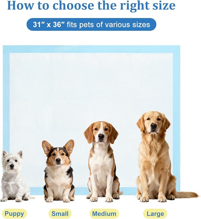 Dog Pee Pads Extra Large 31"x36" 100 Count, Disposable Puppy Training Pads, Super Absorbent Leak-Proof Pads for Dogs, Cats, Rabbits