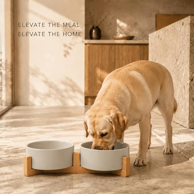 SPUNKYJUNKY Ceramic Dog and Cat Bowl Set with Wooden Stand, Modern Cute Weighted Food Water Bowl Set for Medium to Large Size Dogs (42 OZ, 2 × Grey)