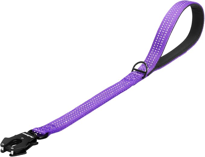 PetBonus Heavy Duty 24 Inch Short Dog Leash and 2-Pack Large Silicone Collapsible Dog Bowls