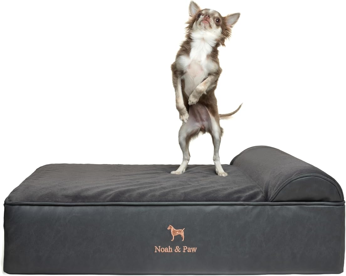 NOAH & PAW Dog Bed, 28x23x7.5 Inch, Orthopedic Dog Beds for Medium Size Pets, Eggshell Memory Foam Infused with Cooling Gel, Water Resistant, Machine Washable, Includes Inner Cover (Faux Leather)