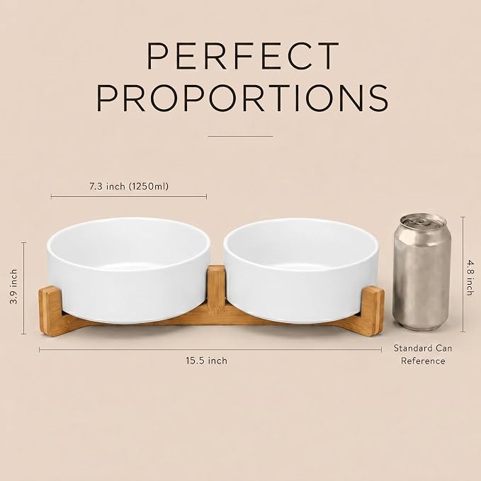 SPUNKYJUNKY Ceramic Dog and Cat Bowl Set with Wooden Stand, Modern Cute Weighted Food Water Bowl Set for Medium to Large Size Dogs (42 OZ, 2 × White)