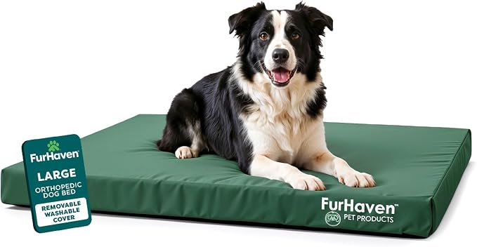 Furhaven Water-Resistant Orthopedic Dog Bed for Large/Medium Dogs w/ Removable Washable Cover, For Dogs Up to 55 lbs - Indoor/Outdoor Logo Print Oxford Polycanvas Mattress - Forest, Large