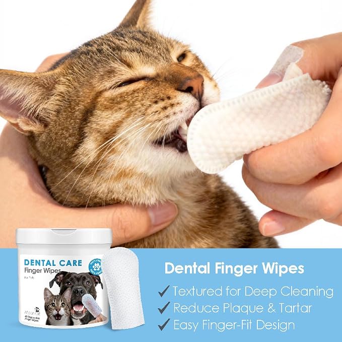 Mooncat Waterless Cat Shampoo & Grooming Kit - Dry Shampoo Foam, Soft Brush, Paw Balm, Dental Finger Wipes & Chin Cleaner - Lick Safe No Rinse Bath, Breath & Skin Care Essentials for Cats & Kittens