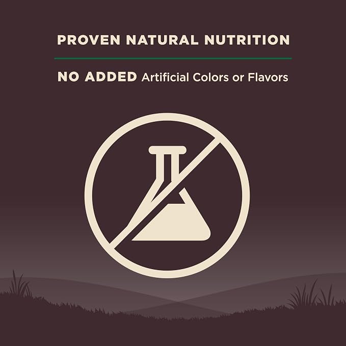 Wellness CORE Adult Dry Dog Food, Grain Free Kibble, Natural, High Protein, Lamb Recipe, 4 lb Bag