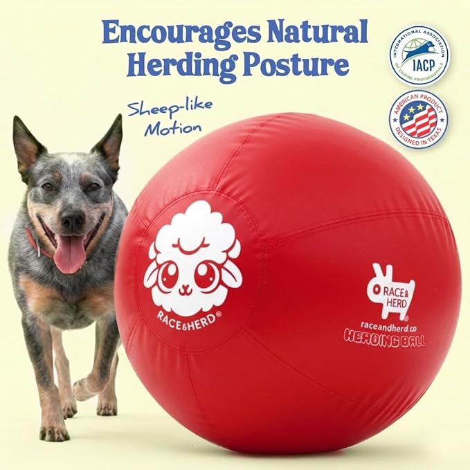 Race&Herd 25" Original XXL Herding Ball for Dogs Large - Herding Toys, Durable Outdoor Big Dog Herding Ball for Australian Shepherd, Corgis, Border Collie Ball & Other Medium to Large Breeds (Cherry)