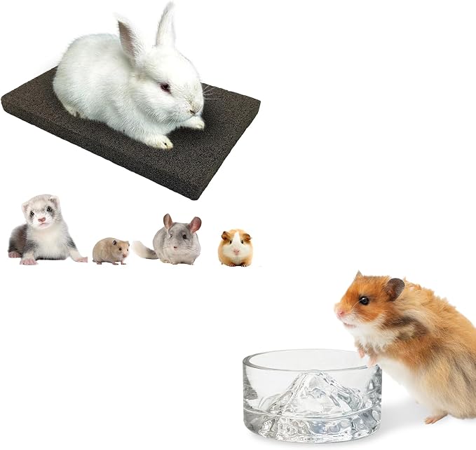 BNOSDM Rabbit Grinding Claw Pads Natural Hamster Lava Stone and Hamster Food and Water Bowl Mountain Fuji Style Glass for Hamsters Gerbils Mice Rats or Other Similar-Sized Pets