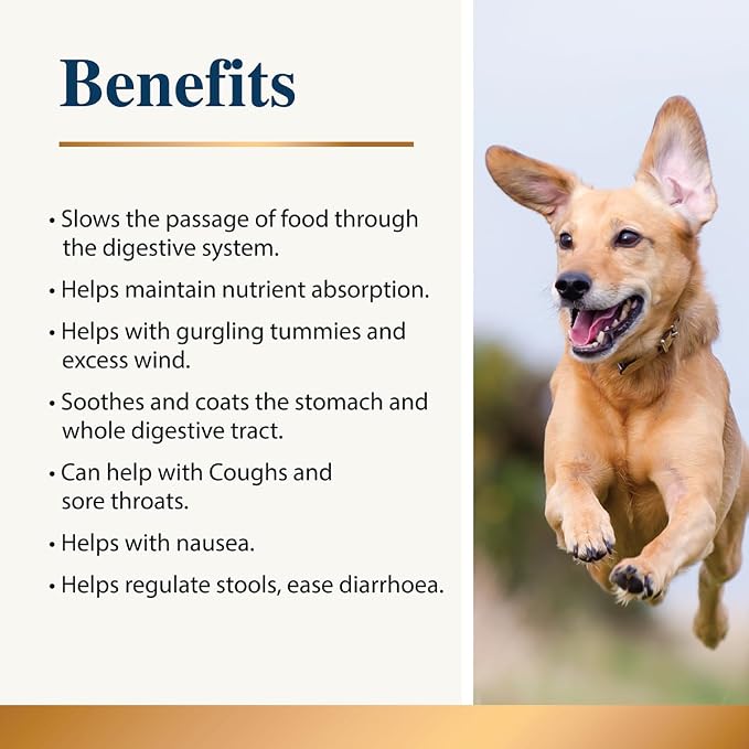 Slippery Elm & Marshmallow Root Powder 100g | 100% Natural Digestive Aid for Dogs | Soothing Support | Tree Barks Powder for Dogs & Cats | Tummy Settler Diarrhoea Relief