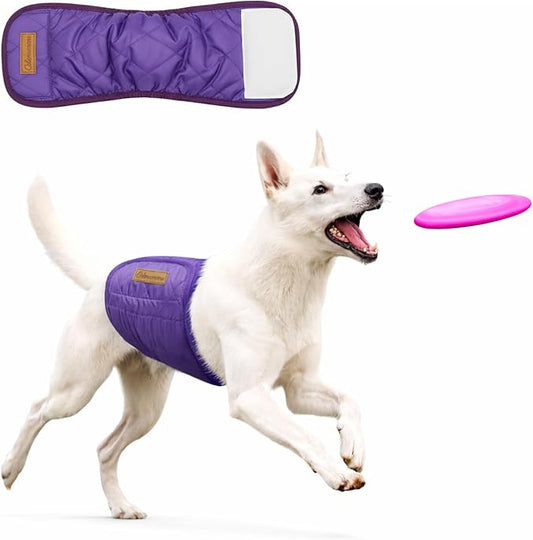 Washable Reusable Dog Diaper, Belly Bands for Male Dogs, Quilted Ultra-Absorbent Leak-Proof Wraps for Training & Incontinence(Purple-XL)