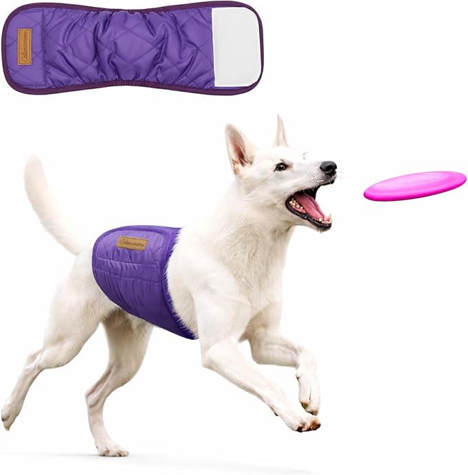 Washable Reusable Dog Diaper, Belly Bands for Male Dogs, Quilted Ultra-Absorbent Leak-Proof Wraps for Training & Incontinence(Purple-S)
