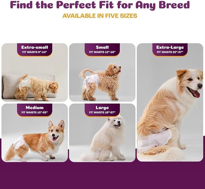 Inspire Pet Care Dog Diapers Female Dogs | Bulk Value Doggie Incontinence, Accidents, for Heat, Pee or Period and Housebreaking (X-Small (100 Count))