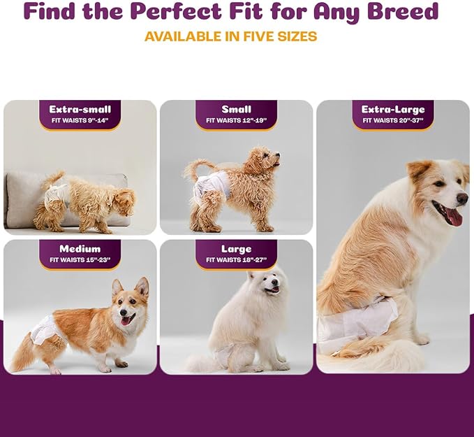 Inspire Pet Care Dog Diapers Female Dogs | Bulk Value Doggie Incontinence, Accidents, for Heat, Pee or Period and Housebreaking (Medium (48 Count))