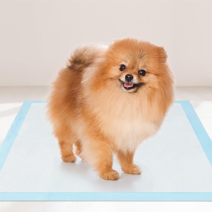 PETSITE Dog and Puppy Pee Pads, 6-Layer Leak-Proof Super Absorbent, Quick-Dry Surface, Indoor Outdoor Disposable Potty Training Pads, Blue & White (24" x 17" (300 Count))