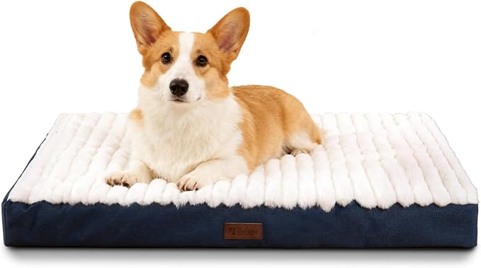 Orthopedic Dog Bed for Medium Breeds Up to 30 Lbs, High-Density Egg Crate Foam, Plush Surface, Machine Washable Removable Cover, Non-Slip Bottom, Blue 29"X18"X3"