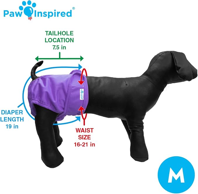 Paw Inspired Washable Reusable Dog Diapers Female, Cloth Dog Diapers, Dogs in Heat, Dog Incontinence (Assorted (White Lining), Medium (3 Ct.))